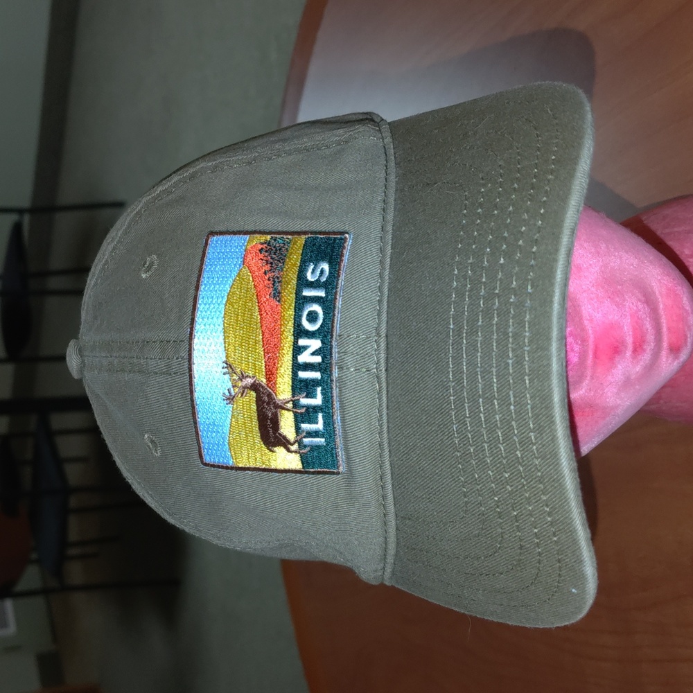 Illinois Stitched Patch Logo Embroidered Strapbac… - image 1